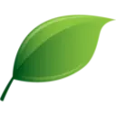 Kratom Capsules